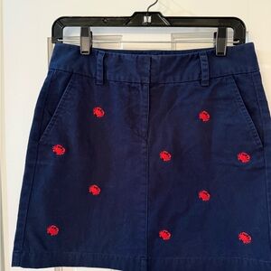 VV Navy Blue Skirt with Red Embroidery
